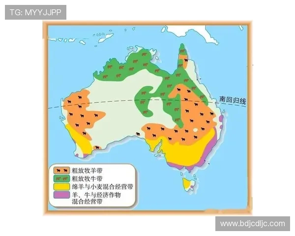 澳大利亚与日本国土面积对比分析及其地理影响探讨